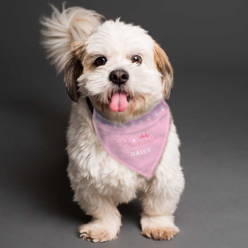 Personalised Pink 'Princess' Dog Bandana