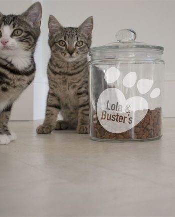 Personalised 'Paws' Cat Treat Jar