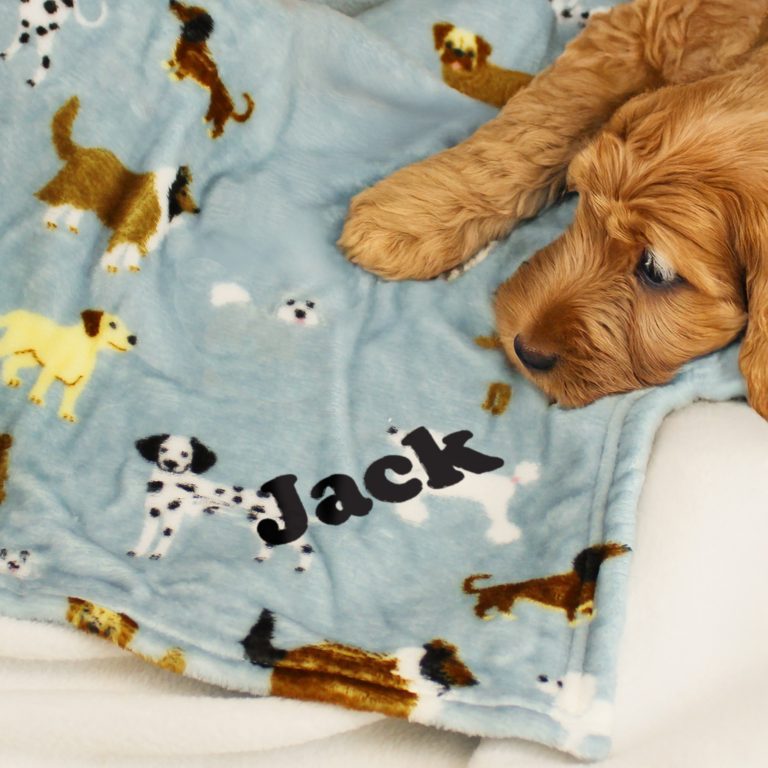 Personalised Paw Print Fleece Dog Blanket