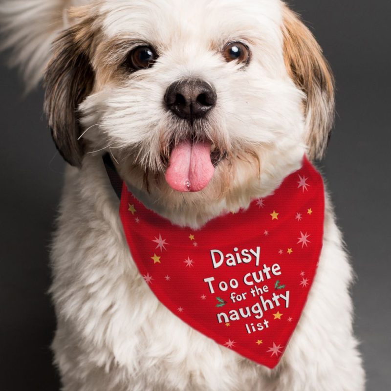 Personalised Christmas 'Too Cute' Dog Bandana