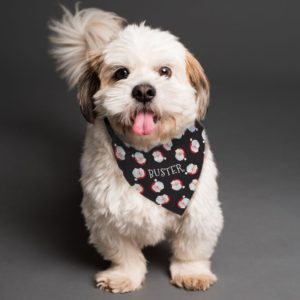Personalised 'Jolly Santa' Black Dog Bandana
