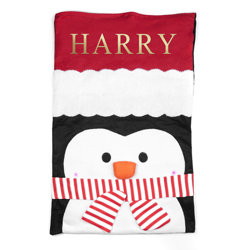 Personalised Penguin Santa Sack