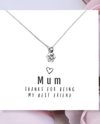 Mum Best Friend Necklace and Sentiments Card
