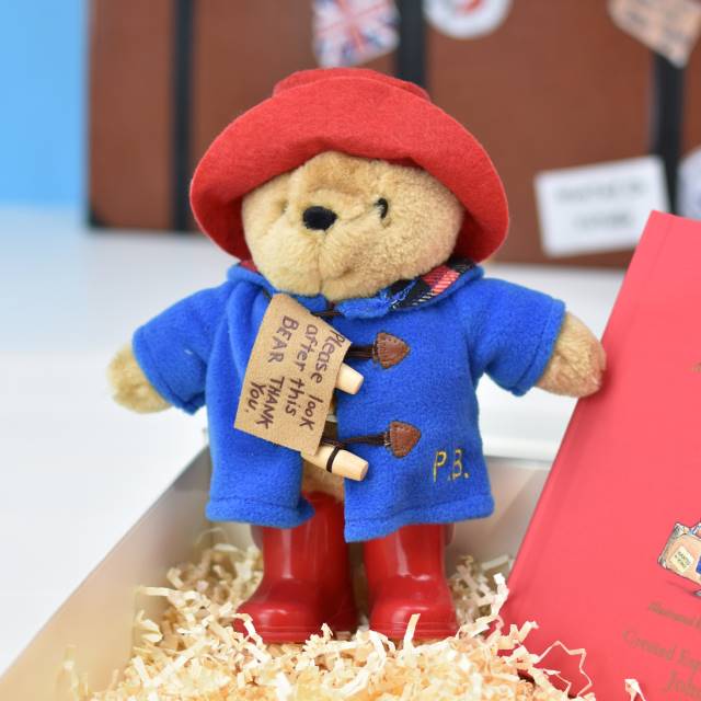 Paddington Bear Personalised Story Book & Plush Toy Gift Set