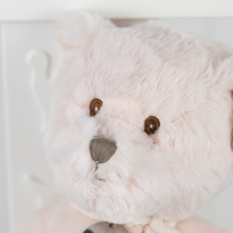 'Scout' The Personalised My First Teddy Bear