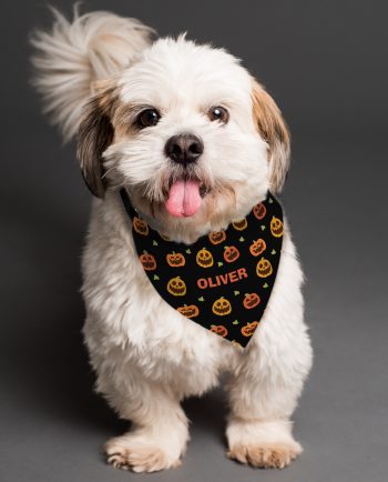 Personalised Pumpkin Patch Dog Bandana