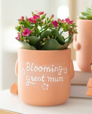 Blooming Great Mum Sitting Plant Pot Pal
