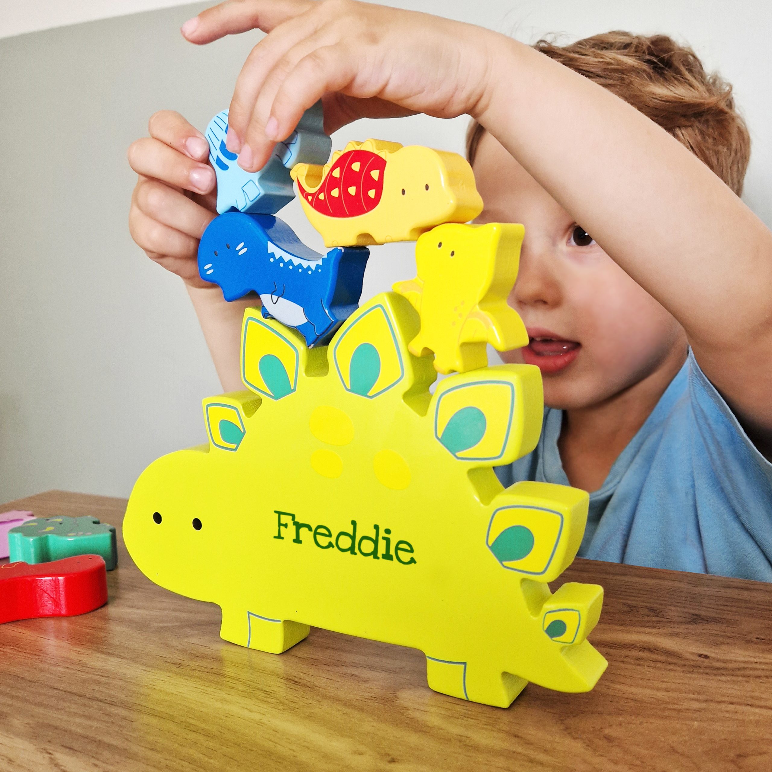 Personalised Wooden Dinosaur Stacker Toy and Book